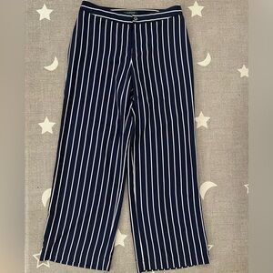 Express Navy Striped Pants